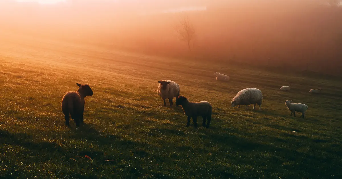 Pagtitiis Tagalog Word My Tagalog